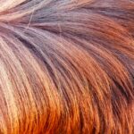 Detailed close-up of textured brown and blonde animal fur, showcasing natural patterns